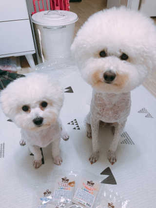윤토마토님이 올린 리뷰 사진 1