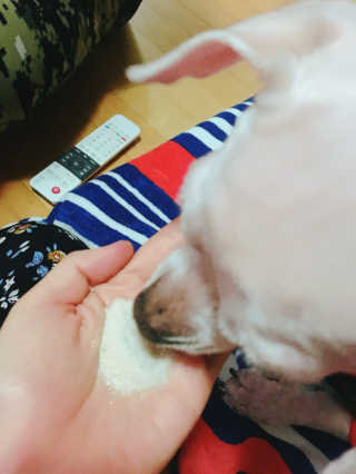 쮸동비님이 올린 리뷰 사진 2