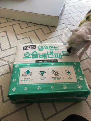 페츠모아 냄새잡는 요술배변패드 — 4.5점을 준 리뷰어가 2020년 3월 올린 사용 사진