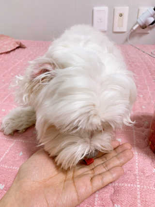으니부기님이 올린 리뷰 사진 2