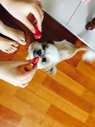 noname님이 올린 리뷰 사진 2