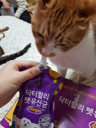 닥터할리펫밀크 8종 — 5점을 준 리뷰어가 2020년 2월 올린 사용 사진