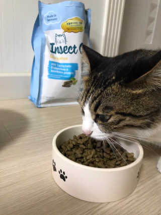 글라라5205님이 올린 리뷰 사진 1