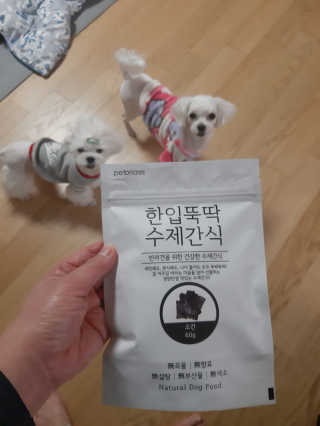 [펫토리아] 한입뚝딱 강아지 수제간식 BEST 5종 — 5점을 준 리뷰어가 2019년 2월 올린 사용 사진