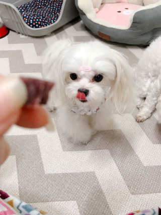 만듀모찌님이 올린 리뷰 사진 3