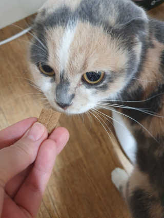 전블리님이 올린 리뷰 사진 4