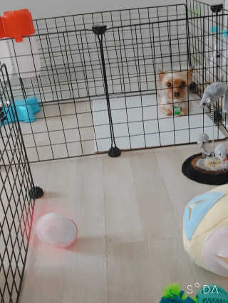 이령아님이 올린 리뷰 사진 4
