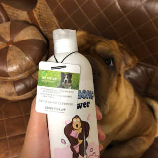 알포도님이 올린 리뷰 사진 3