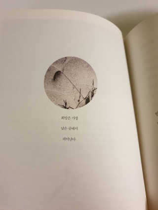 뉘신지님이 올린 리뷰 사진 3