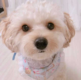 러브제이님이 올린 리뷰 사진 4