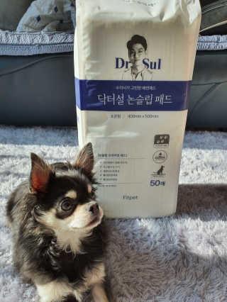 애월님이 올린 리뷰 사진 1