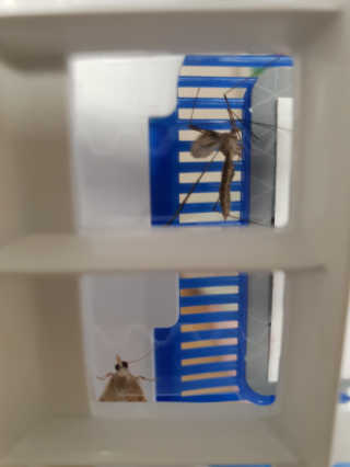 보름맘님이 올린 리뷰 사진 2