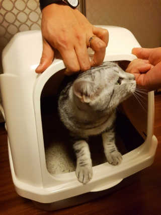 르방맘님이 올린 리뷰 사진 2