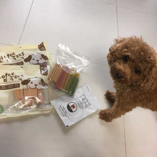 몽글이님이 올린 리뷰 사진 2