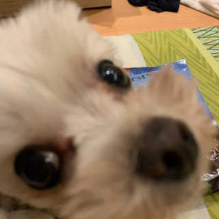 연쥬연쥬님이 올린 리뷰 사진 3