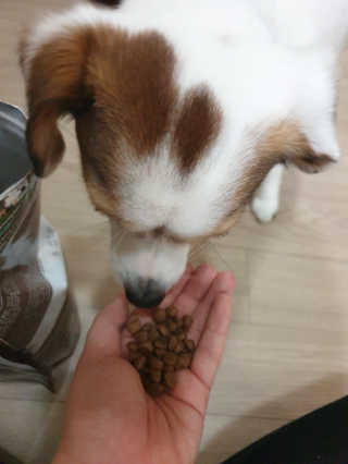 능선이님이 올린 리뷰 사진 3