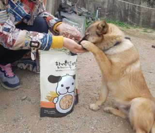 쫑이님이 올린 리뷰 사진 3