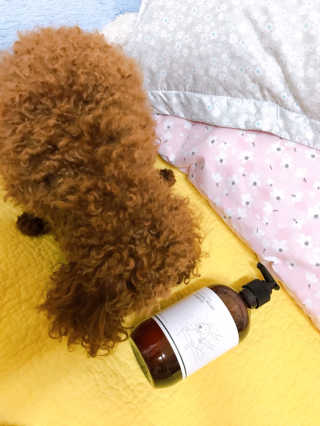 연이님이 올린 리뷰 사진 3