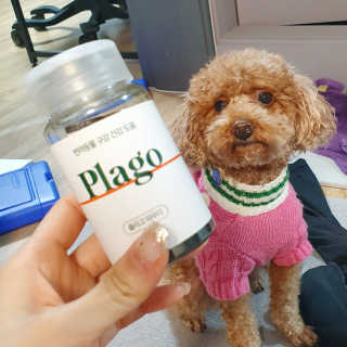 김민주님이 올린 리뷰 사진 2