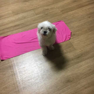 혜블리님이 올린 리뷰 사진 3