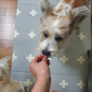 포비맘님이 올린 리뷰 사진 4