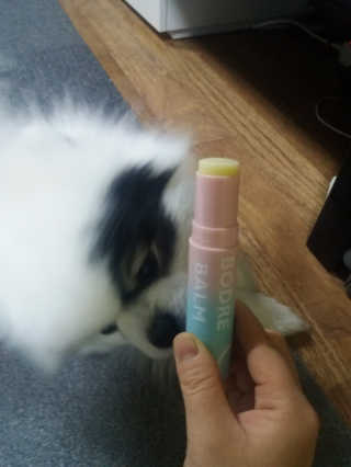 세이님이 올린 리뷰 사진 3