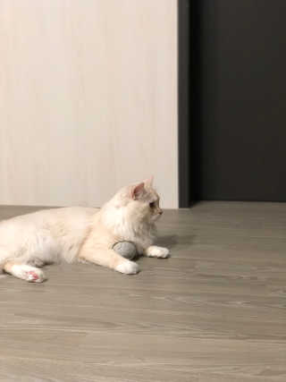 다용블리님이 올린 리뷰 사진 2