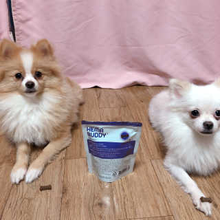 영블리님이 올린 리뷰 사진 3
