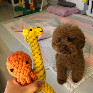 mongswelyeojunmom님이 올린 리뷰 사진 2