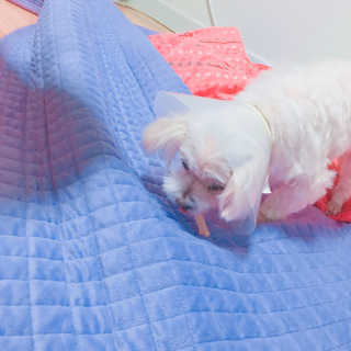 pang님이 올린 리뷰 사진 1