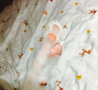 김나영님이 올린 리뷰 사진 3