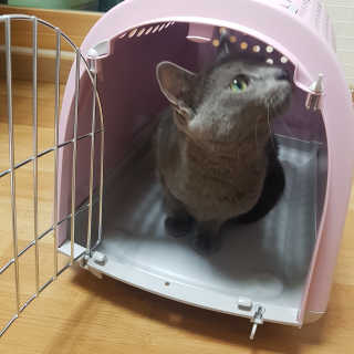 쿠로님이 올린 리뷰 사진 1