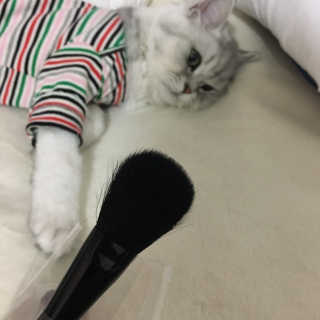 단발소녀님이 올린 리뷰 사진 3