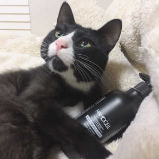 나르미르님이 올린 리뷰 사진 1