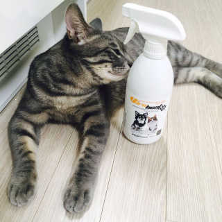 isb1197님이 올린 리뷰 사진 2