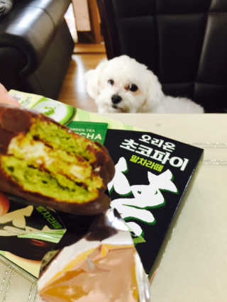 JiwooPark님이 올린 리뷰 사진 1