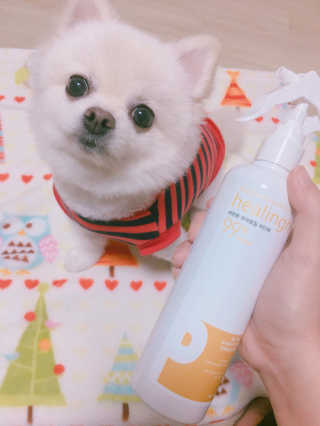 타고난몸매님이 올린 리뷰 사진 1