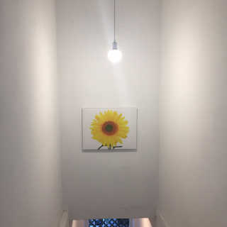 코코링님이 올린 리뷰 사진 2