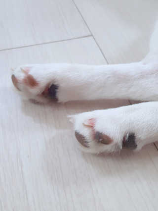 GaeulJu님이 올린 리뷰 사진 3