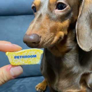 Pethroom 페스룸 PETHROOM DEEP CLEAN BATHBOMB 페스룸 딥클린 배쓰밤 — 4점을 준 리뷰어가 2020년 3월 올린 사용 사진
