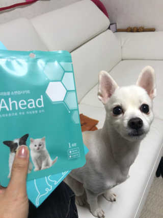 으내으내조님이 올린 리뷰 사진 2