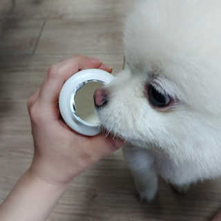 재로우 제로우 펫 도필러스 반려동물 유산균 영양제 70.5g — 4.5점을 준 리뷰어가 2018년 8월 올린 사용 사진