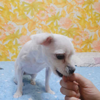 노다지님이 올린 리뷰 사진 4