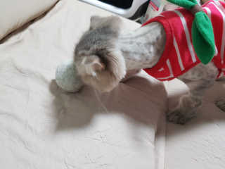 HyangsookLee님이 올린 리뷰 사진 3