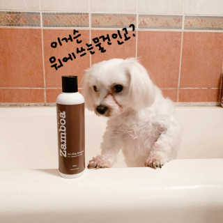 silvermoon님이 올린 리뷰 사진 3