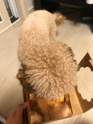 예림이그램님이 올린 리뷰 사진 4