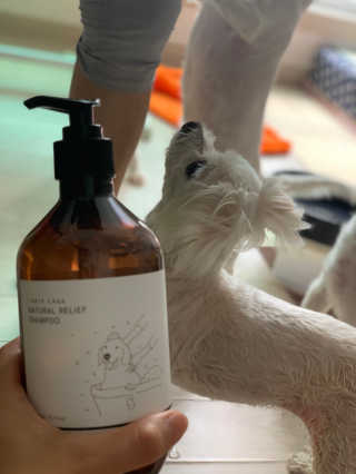 이끌림님이 올린 리뷰 사진 2