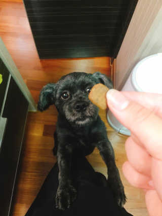 JuYeonChae님이 올린 리뷰 사진 1