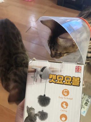 Erika님이 올린 리뷰 사진 2