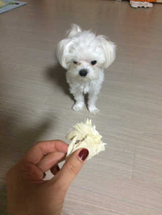상큼슈님이 올린 리뷰 사진 1